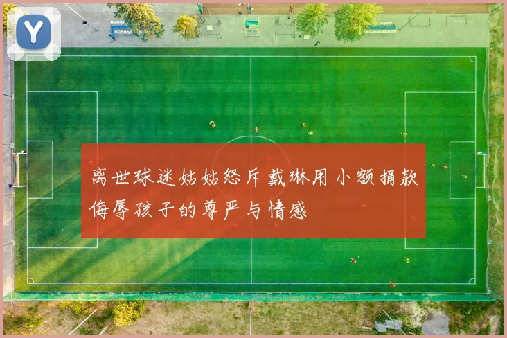 离世球迷姑姑怒斥戴琳用小额捐款侮辱孩子的尊严与情感