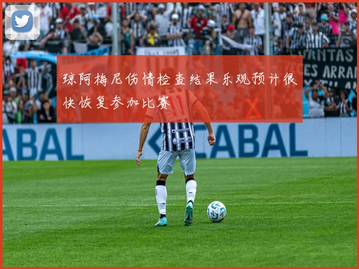 琼阿梅尼伤情检查结果乐观预计很快恢复参加比赛