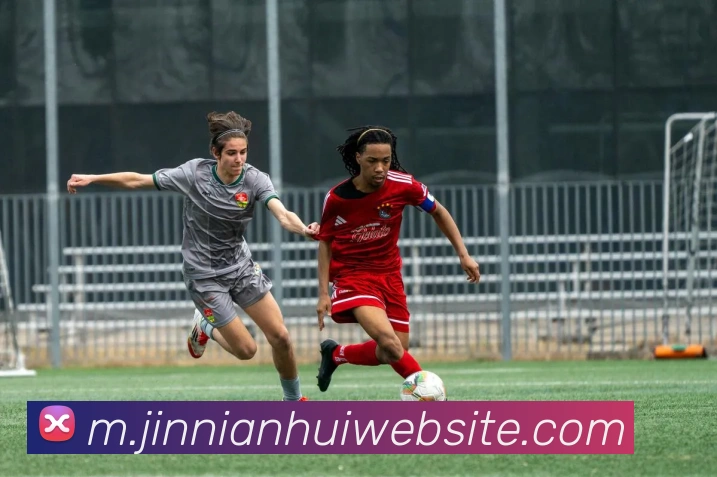 今年会官网服务体系